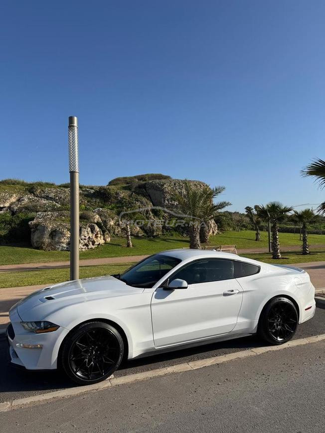 ford mustang cope 2020dewana2024 