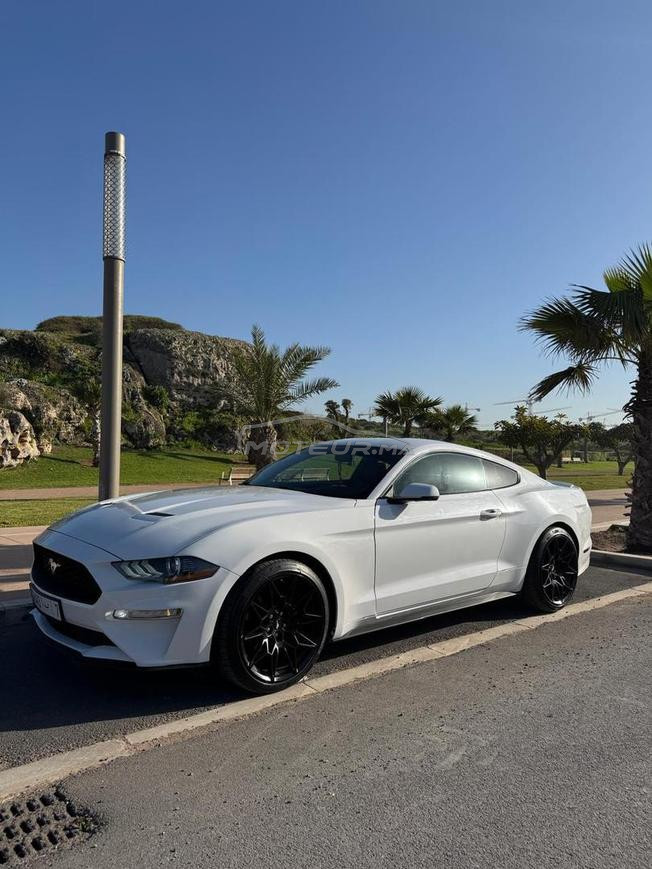ford mustang cope 2020dewana2024 