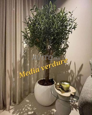 شجرة زيتون شبه اصطناعية - 2