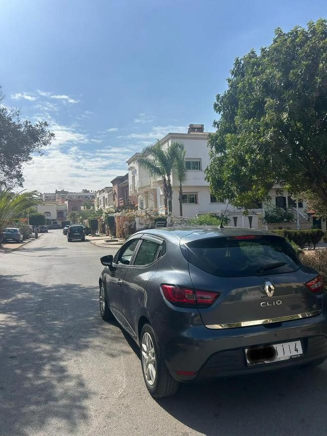 CLIO 4 2017