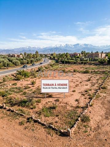 Vente Terrain nu à Marrakech