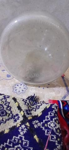 زجاجة شويبس قديمة - 2