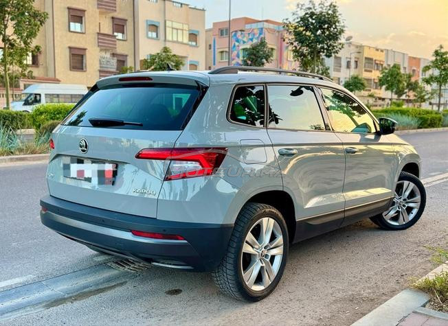 skoda karoq🇩🇪