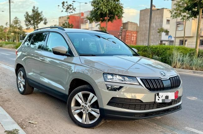 skoda karoq 🇩🇪🇩🇪