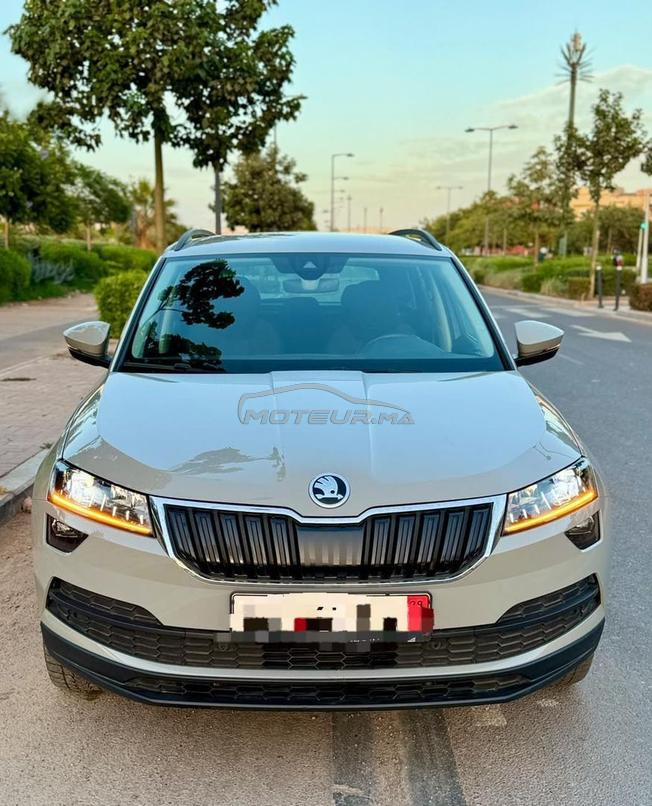 skoda karoq 🇩🇪🇩🇪