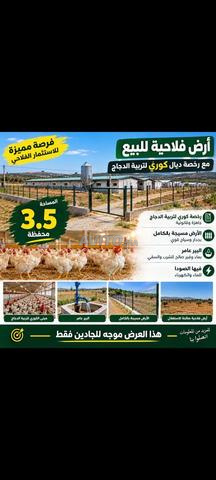 أرض فلاحية مع رخصة لتربية الدجاج - 2
