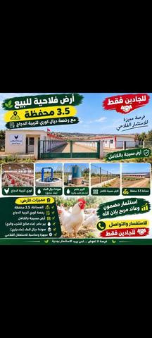 أرض فلاحية محفظة مع رخصة لتربية الدجاج - 2