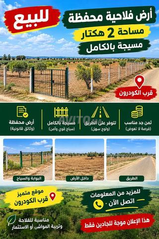 أرض فلاحية بثمن مناسب - 2