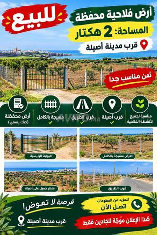 أرض فلاحية محفظة بمساحة 2 هكتار بسعر مناسب - 2