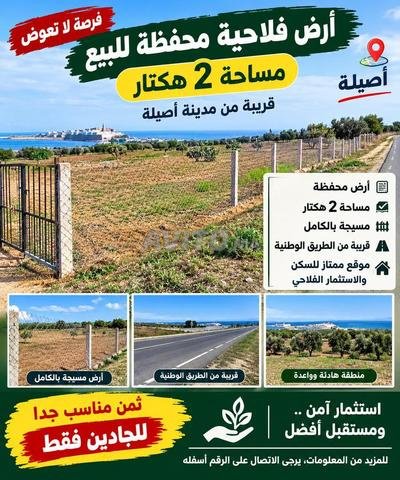 2 hectares de terre agricole enregistrée à un prix raisonnable - 2