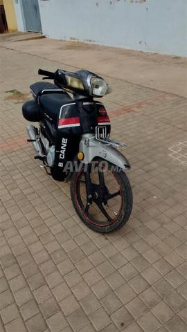 Gacela Super Cub 110cc - 2
