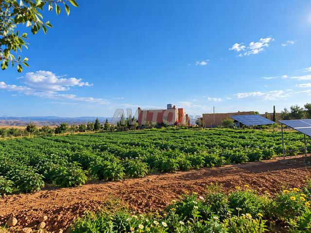 Terre agricole, opportunité d'une vie - 2