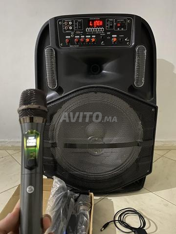 بافيل 15 و 4 ميكروفونات لاسلكية UHF وشاحن
