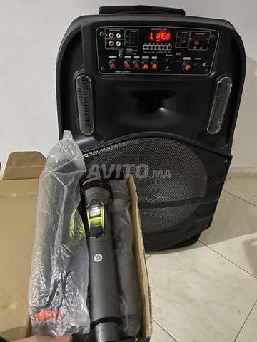 Baffle 15 et 4 Micros Sans Fil UHF et Chargeur - 2