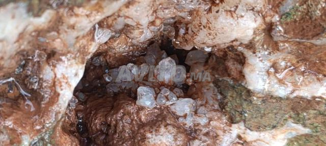 جيود مائي عملاق +20 كجم - نادر - دمنات الأطلس