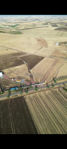 Hectare clôturé sur la route principale