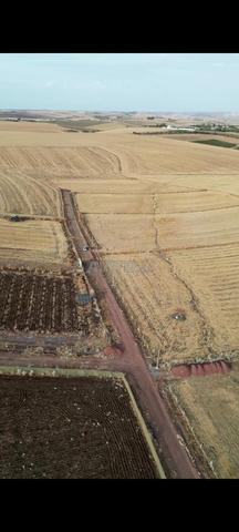 Hectare clôturé sur la route principale