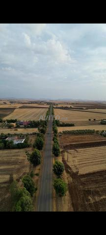Hectare clôturé sur la route principale