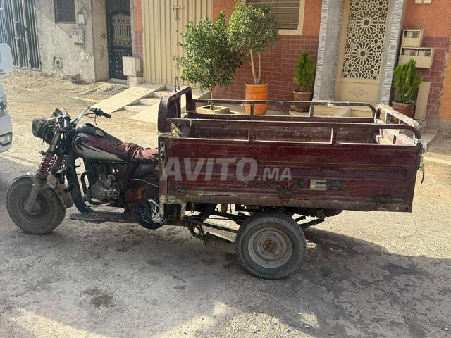 TRIPORTEUR - 2