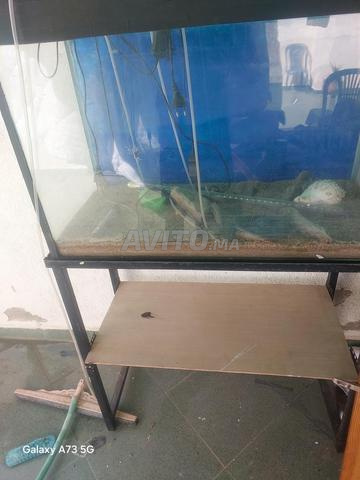 Aquarium en très bon état avec ses accessoires - 2