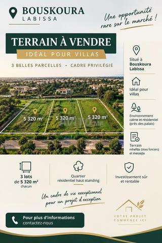 Terrains à vendre Bouskoura Labissa