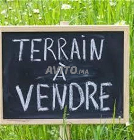 À VENDRE TERRAIN D’EXCEPTION 580m² HAY RIAD sect14