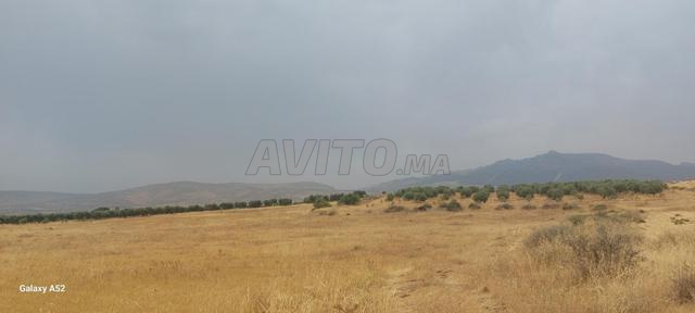 10 ha titrés à vendre