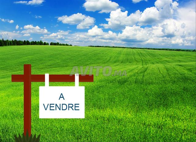 À VENDRE TERRAIN D’EXCEPTION 2600m² LOT MARIE-LOUISE