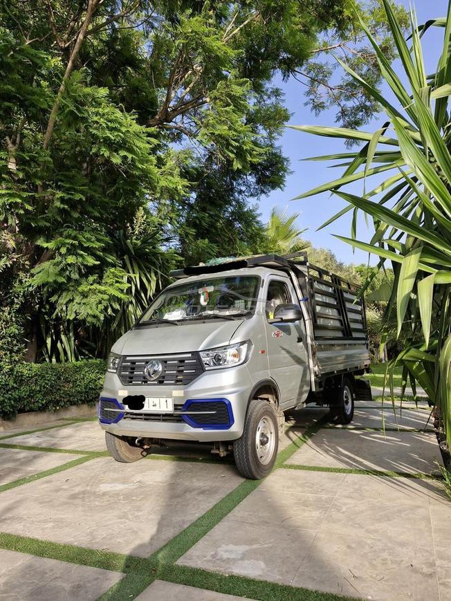 dongfeng captain w 2025