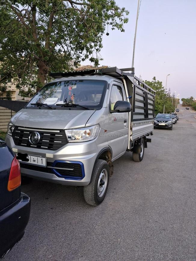   ☎️ 0610620391