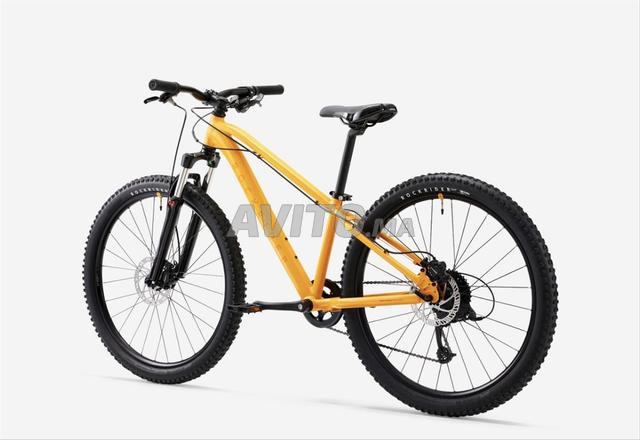 Vélo magnifique et solide - 2