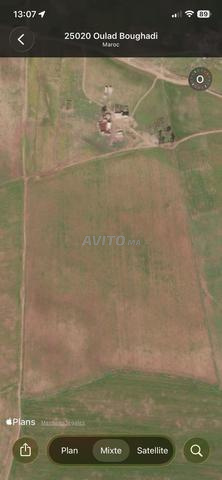 Terrain agricole réduit à vendre - 2