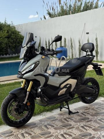 هوندا Xadv 2024 - 2