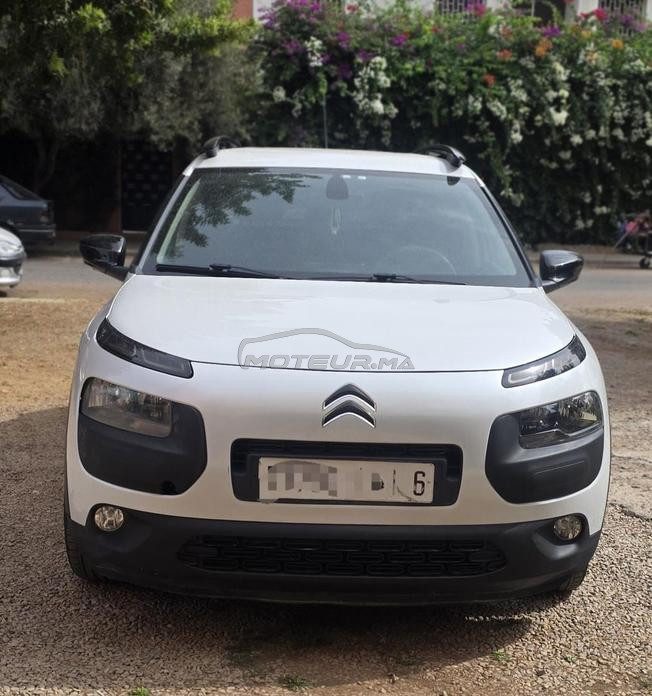 c4 cactus fin 2016