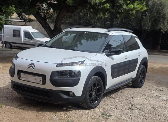 c4 cactus fin 2016