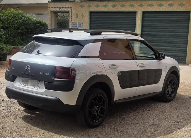 c4 cactus fin 2016