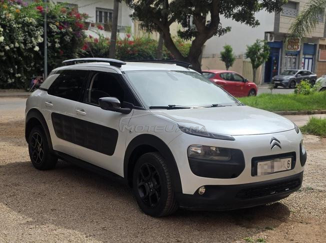 c4 cactus fin 2016