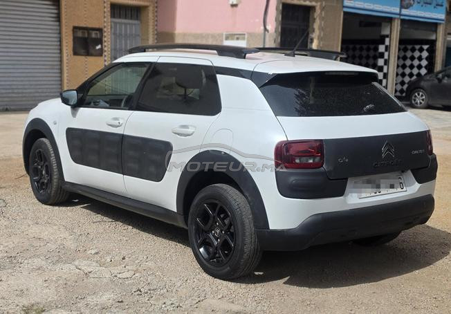 c4 cactus fin 2016