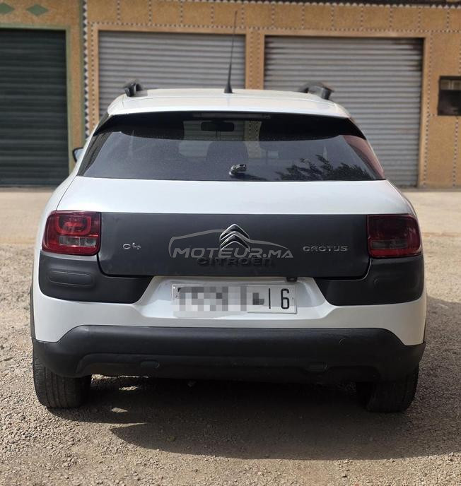 c4 cactus fin 2016