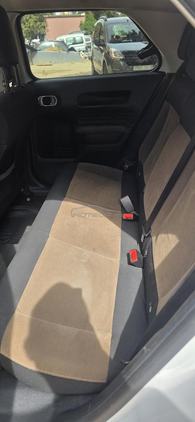 c4 cactus fin 2016