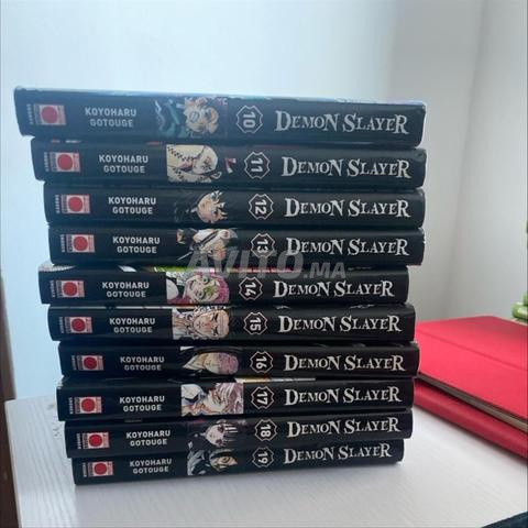 10 à 19 tomes Demon Slayer excellent état pas cher