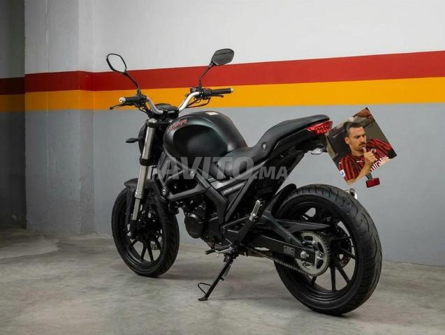 Cimati Monster Evo 3 (2023) - - 2