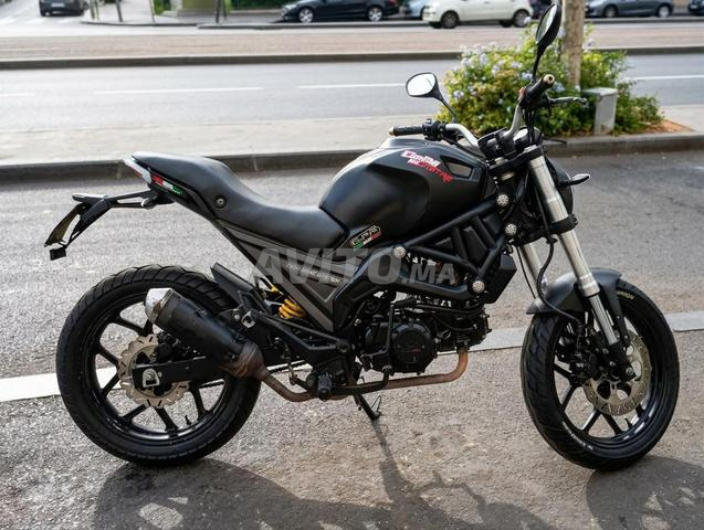 Cimati Monster Evo 3 (2023) - 2