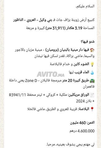 Terrain Titré 3.19Ha Bni Oukil Al Aaroui RN2 - 2