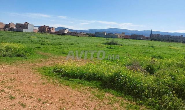 Terrain Titré 3.19Ha Bni Oukil Al Aaroui RN2