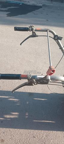 Machine à hacher Tondeuse grande - 2