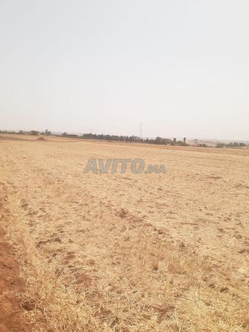 Vaste terrain agricole à seulement 17 km de Benslimane ? - 2