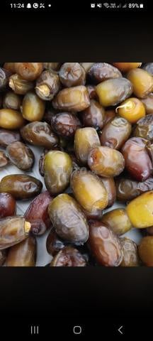 Nouveaux dattes du pays - 2