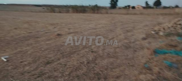 الصخيرات 1012 - 2