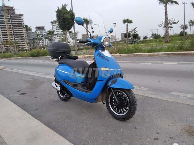 Scooter 2021 4 temps 80Cc valise bach imperméable - 2